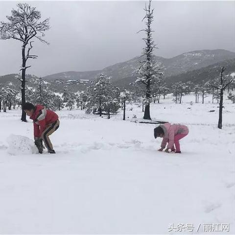 丽江一周天气预报（丽江一周天气预报七天文字版）