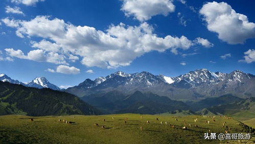 新疆旅游（新疆旅游必去十大景点）