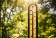 朝阳天气预报一周15天（朝阳天气预报一周15天天气预报）