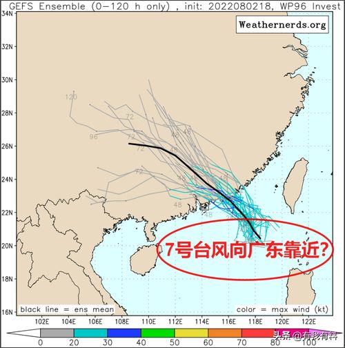 下一个台风最新消息（下一个台风是谁）