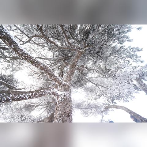 黄山天气预报15天（黄山天气预报15天最新）