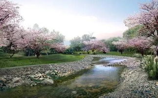 沈阳天气（沈阳天气五一）