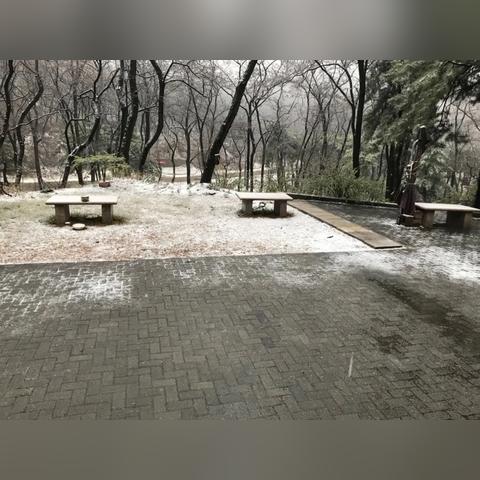 山东天气预报（山东天气预报最新）