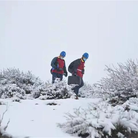 伊春天气(伊春天气预报) 伊春天气(伊春天气预报)